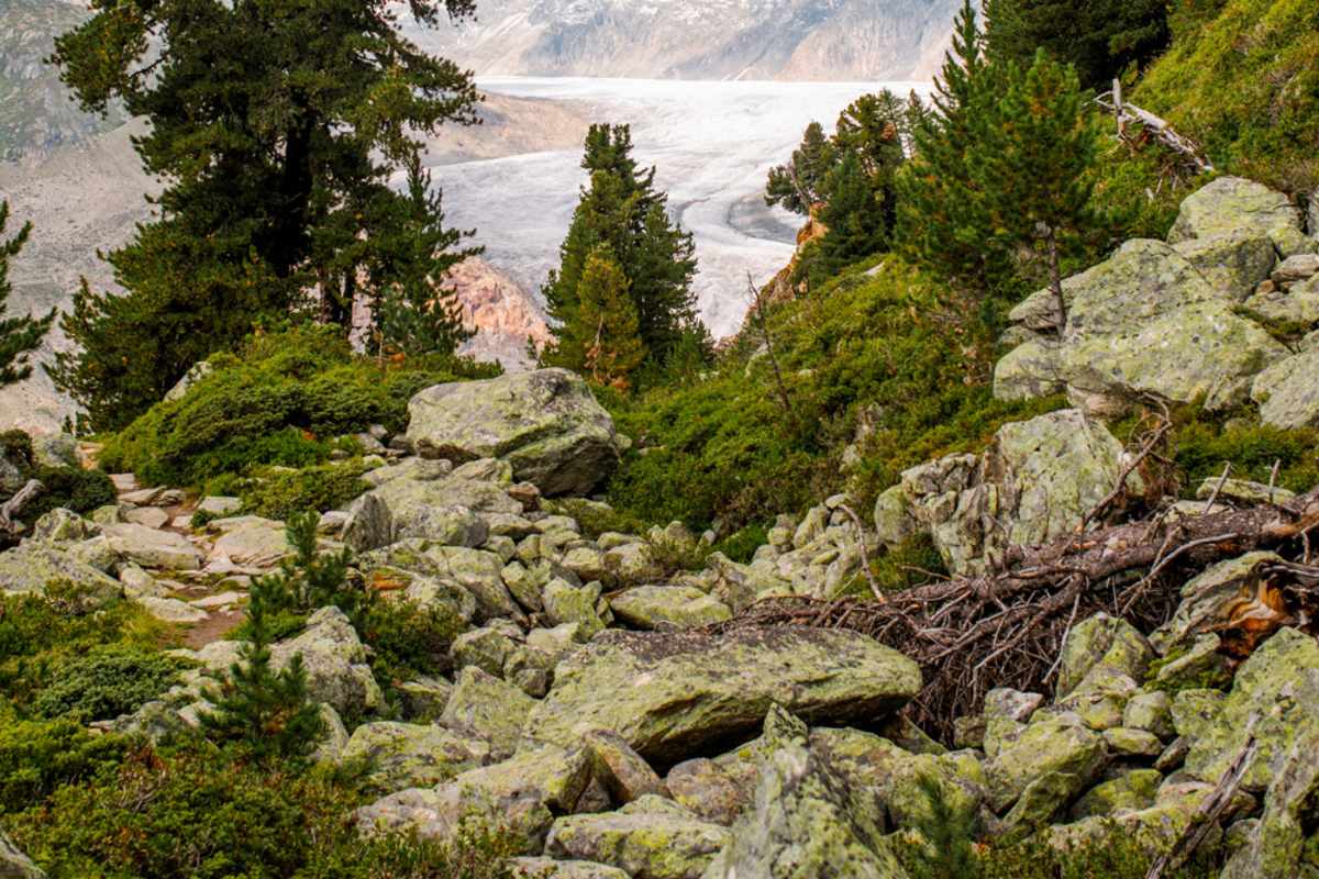 Grosser Aletschgletscher