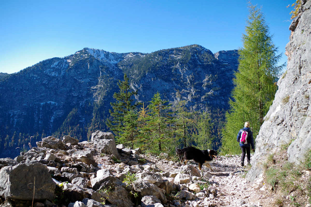 Wandern mit Hund: Almerlebnisweg Ramsau