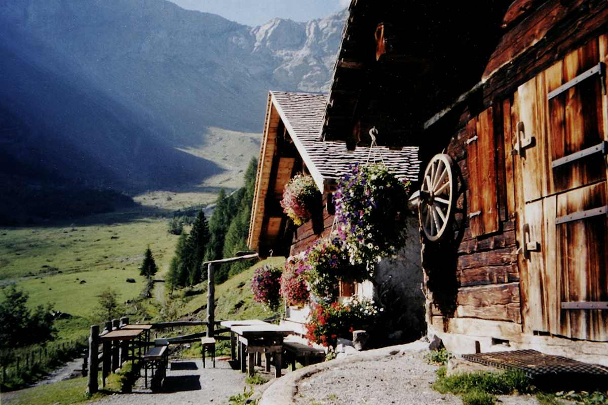 Alpe Brüggele in der Alpenregion Bludenz