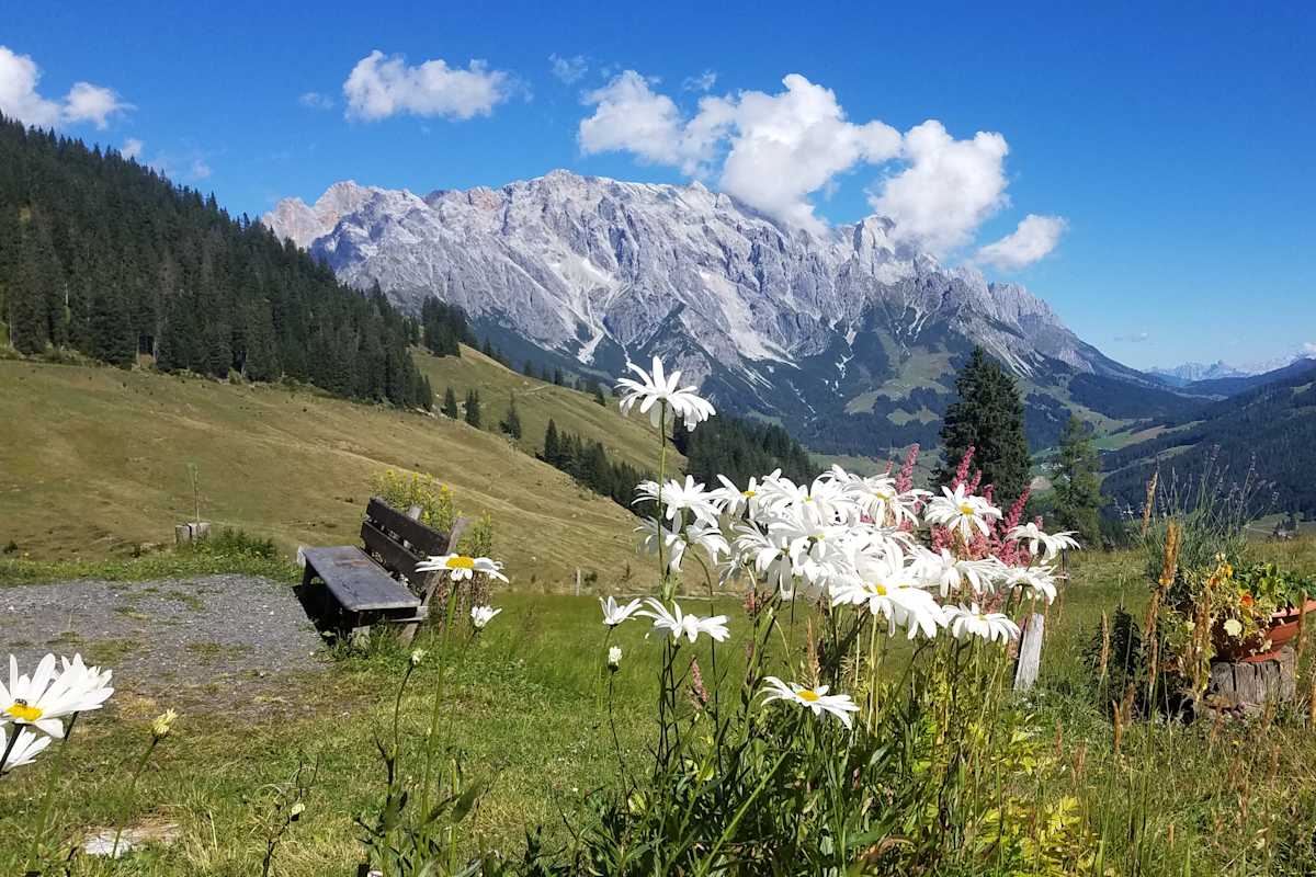 Wanderer am Weg nach Dienten