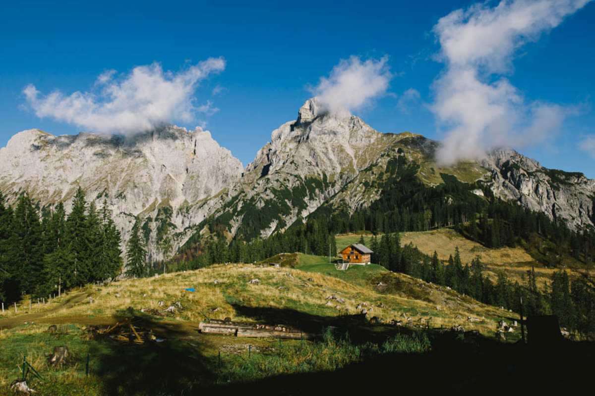 Bergwelten-Geheimtipp: Die Treffneralm wird ab Juli zum Heidelbeerparadies. Im Hintergrund: die Gipfel von Sparafeld (links) und Reichenstein.