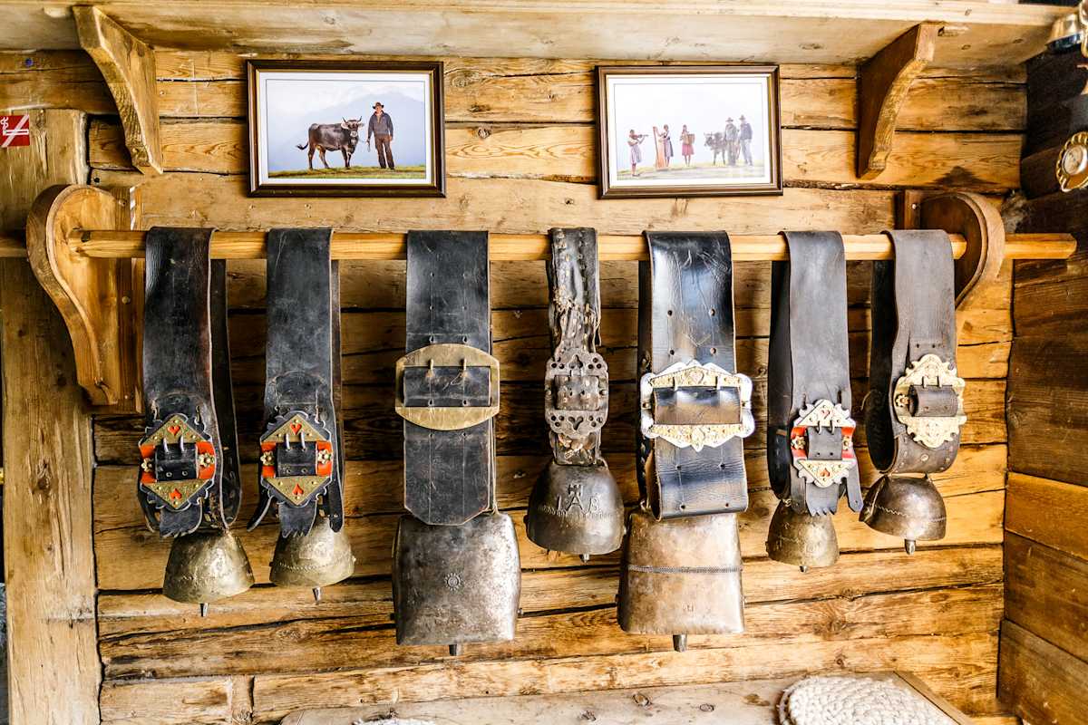 Kuhglocken auf der Gampe Thaya