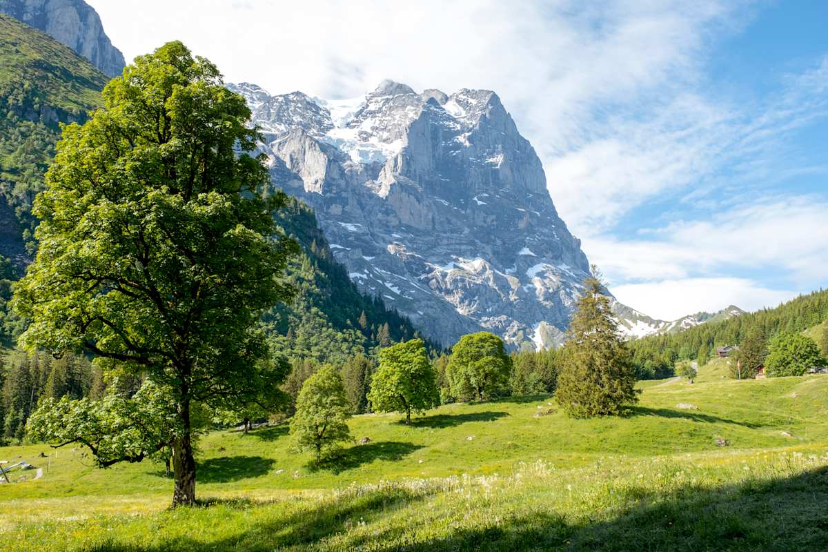 Ausblick auf die traumhafte Berglandschaft.
