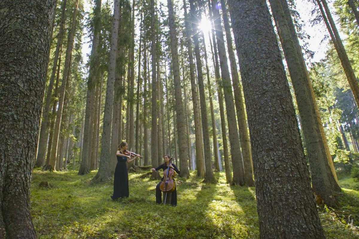 Konzert im Klangwald von Val di Fiemme