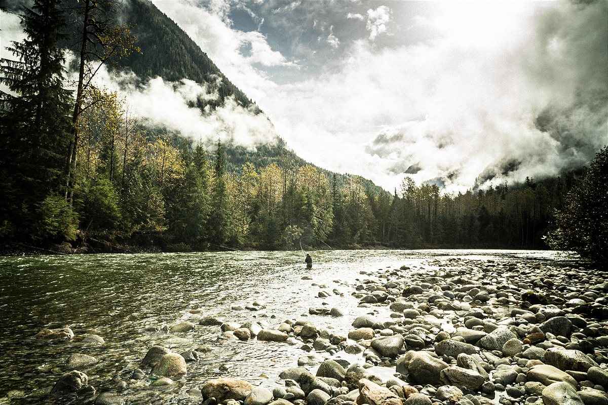 Schröcksnadel beim Fliegenfischen