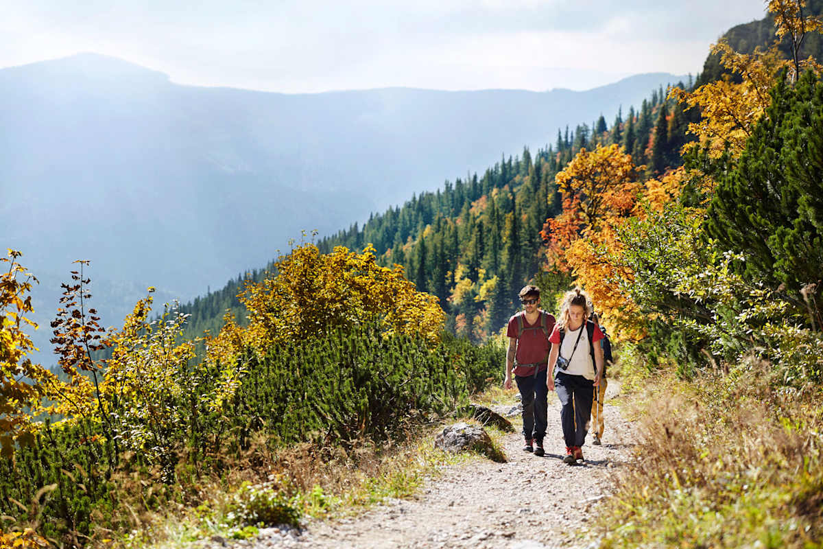 Der Herbst in all seinen Schattierungen: farbenfroh beim Aufstieg und mystisch-nebelig am Raxplateau (links).