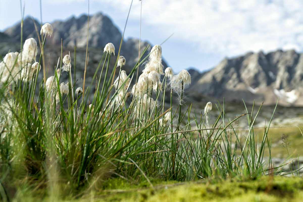 Wildes Gradental im Nationalpark Hohe Tauern