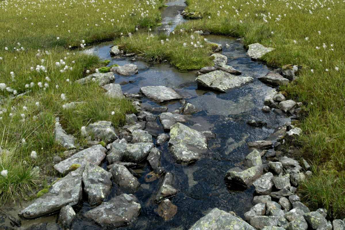 Das wunderschöne Gradental