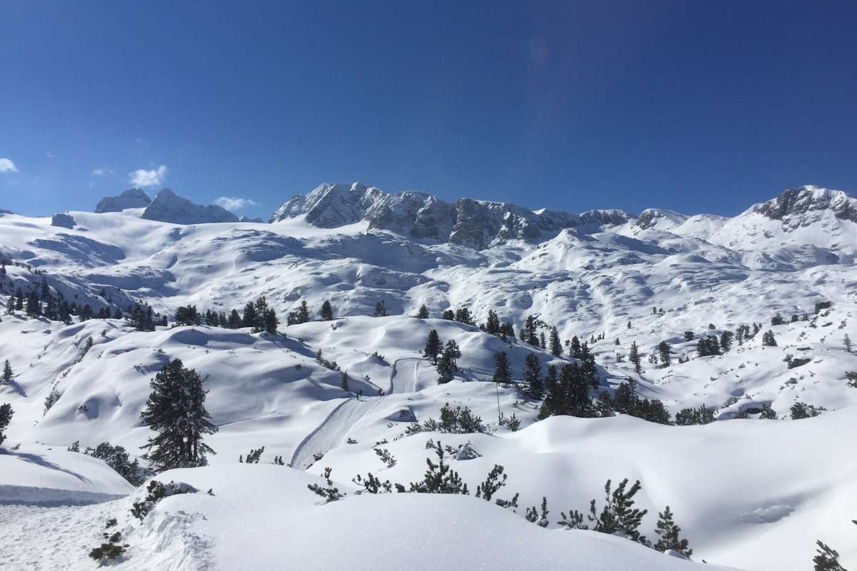 Auf dem Skiweg Nr. 650 vor der Gjaid-Alm