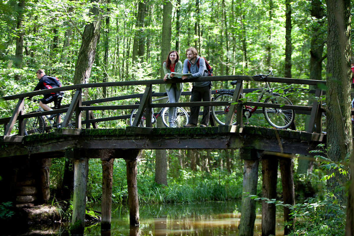 Spreewald Radweg