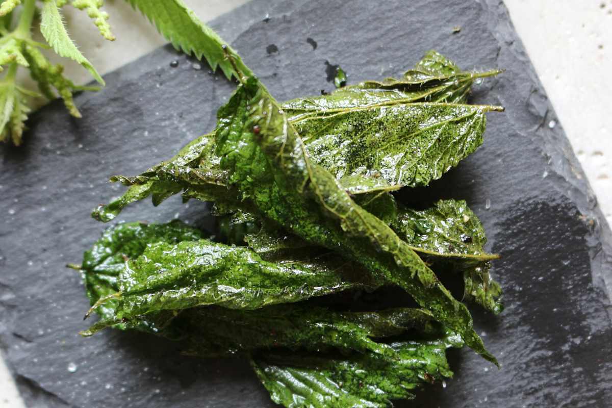 Selbstgemachte Brennnesselblätter