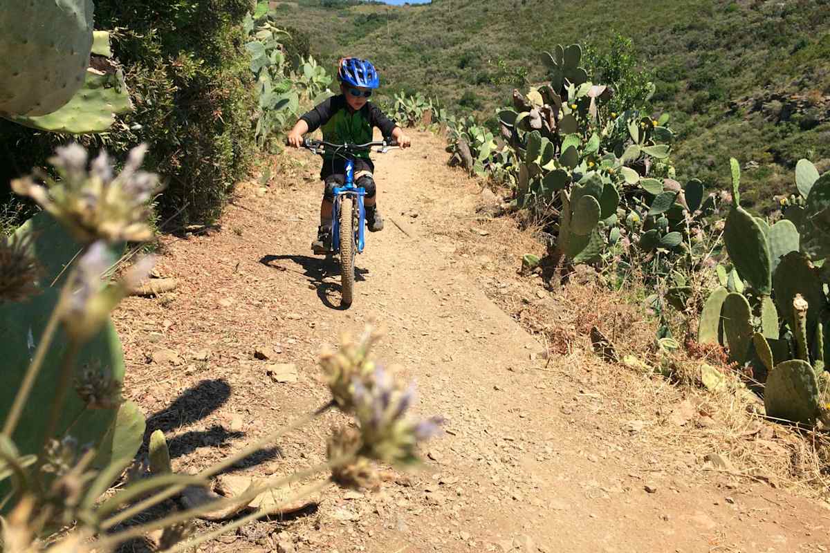 5 Profi-Tipps: Mit Kindern am Mountainbike