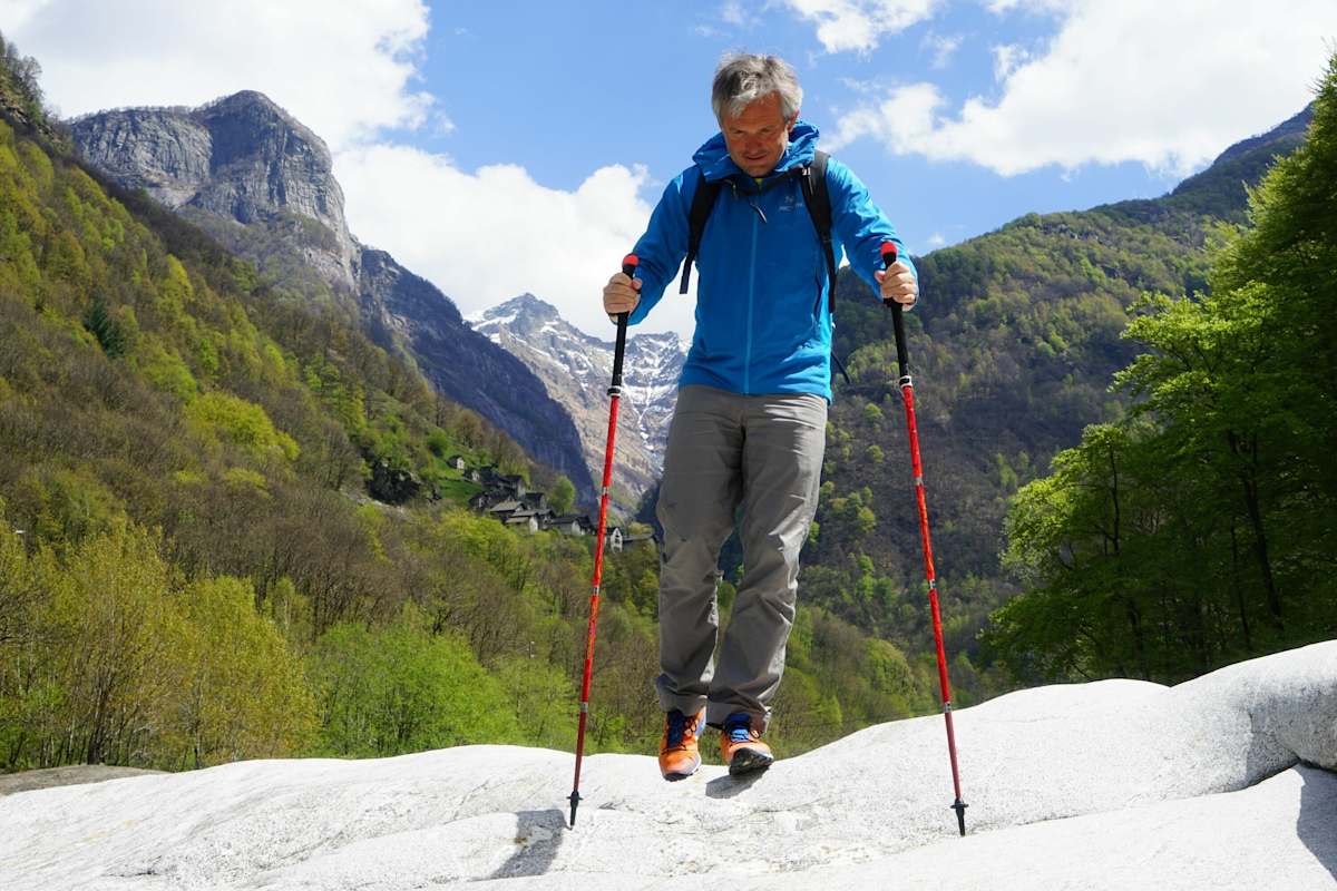 Micro Vario Carbon von Leki 