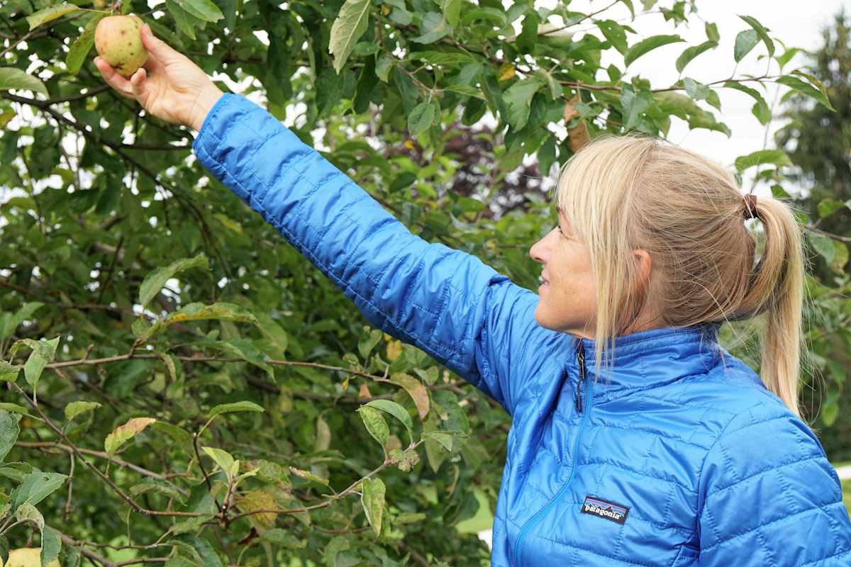 Innovative Technologie vom Umweltpionier: Nano Puff Jacket von PATAGONIA