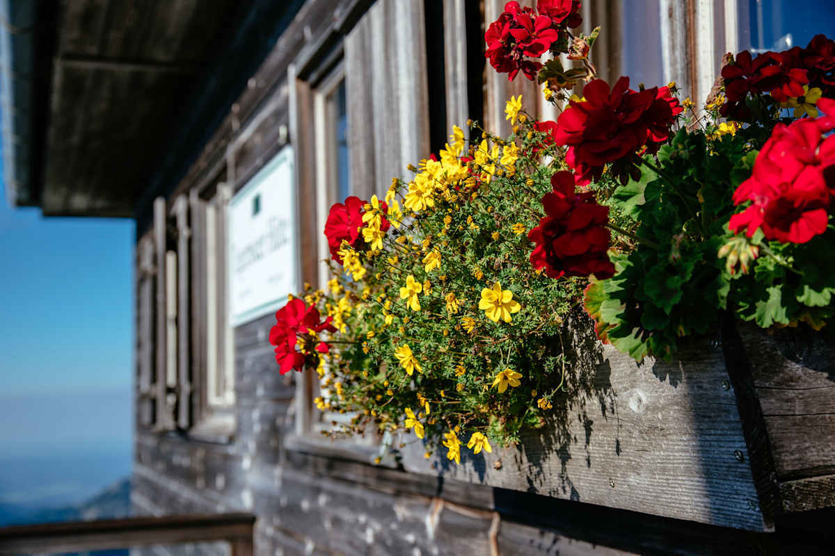 Auf der Hütte warten Blumen an den Fenstern.