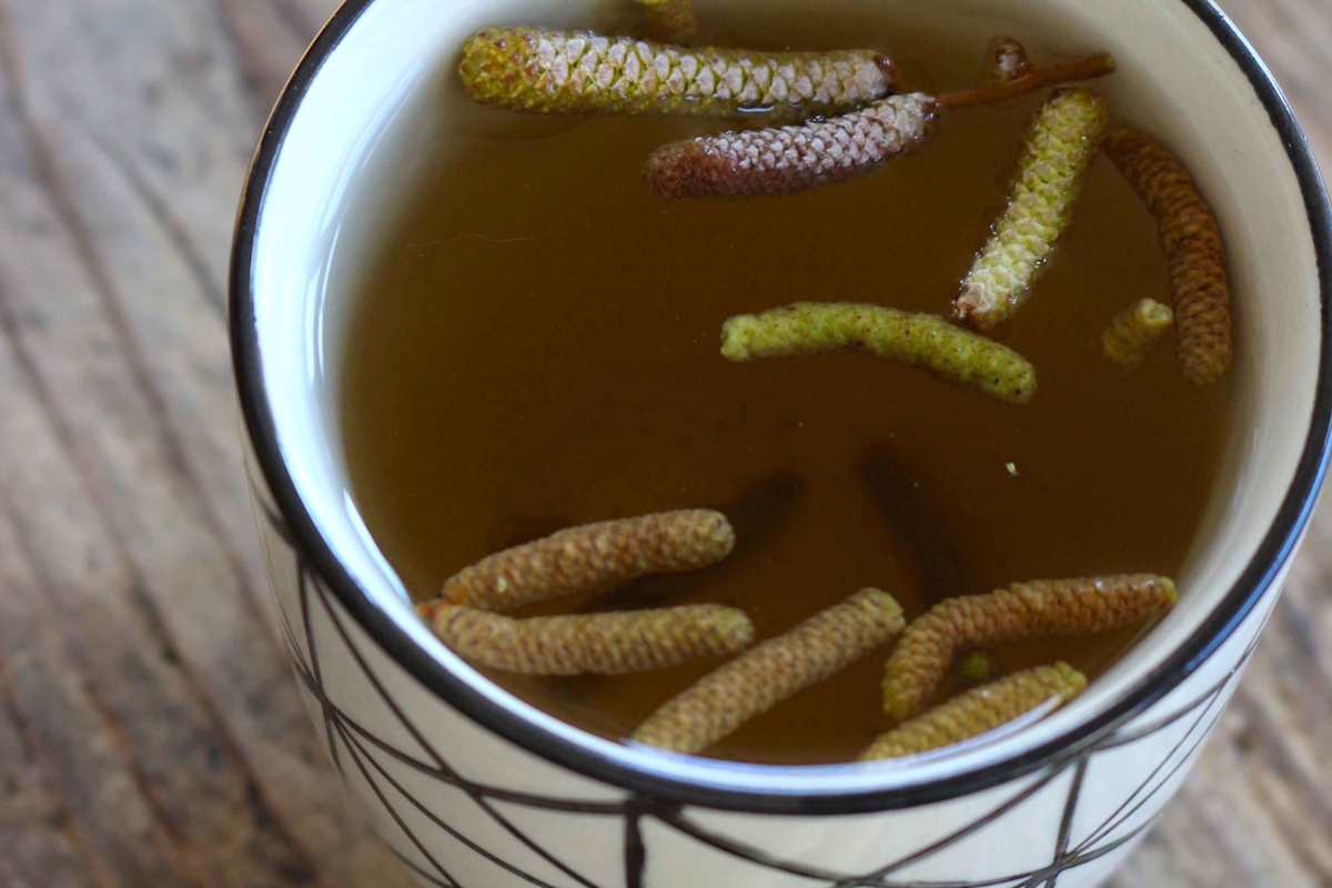 Der Haselkätzchentee gilt in der Naturheilkunde als vitalisierend und wird gerne für Frühjahrskuren verwendet 