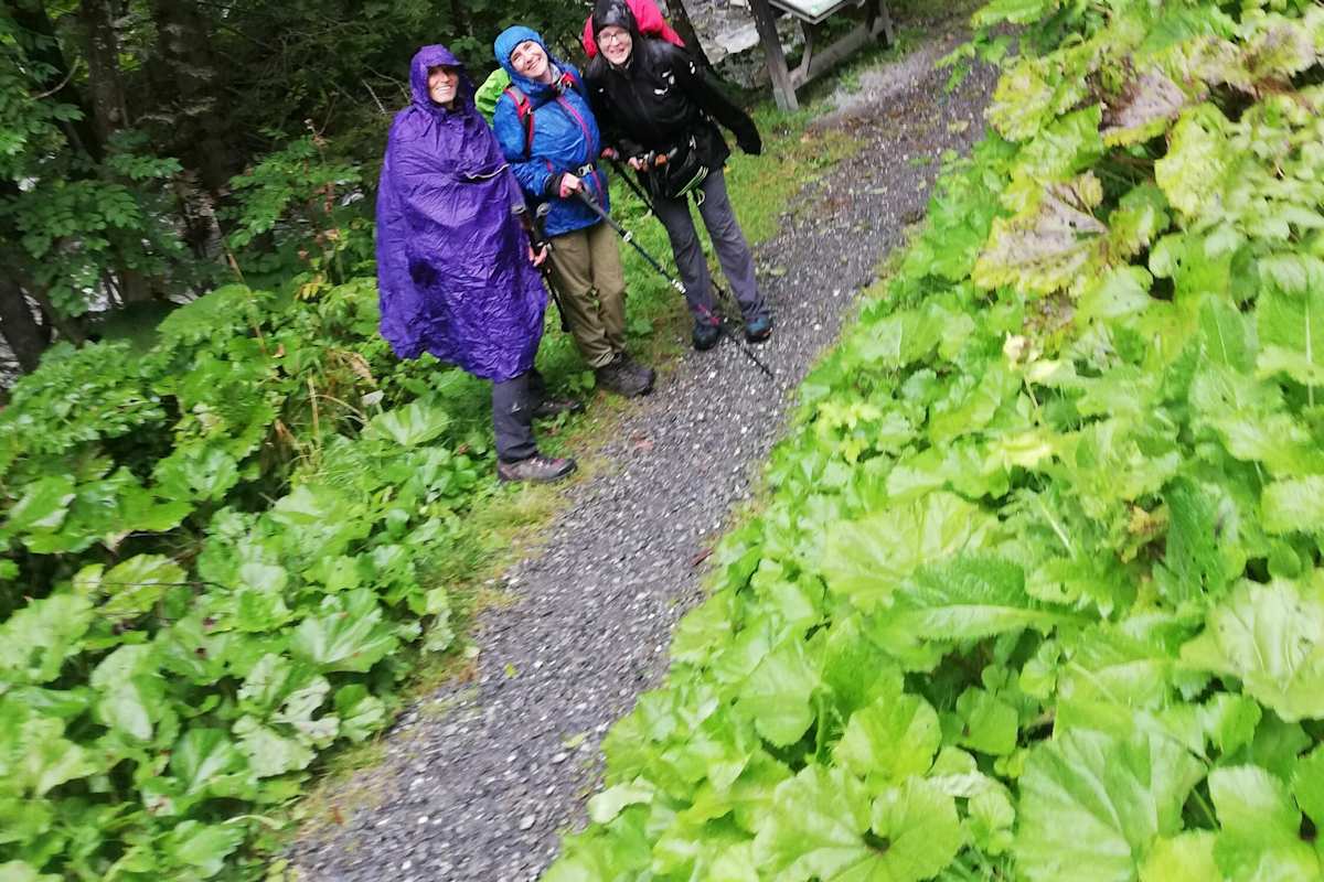 Wanderer bei der Alpen Tour