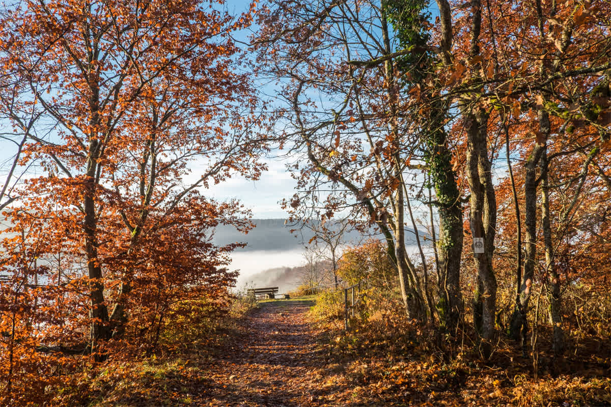 Eichfelsen-Panorama Wanderung