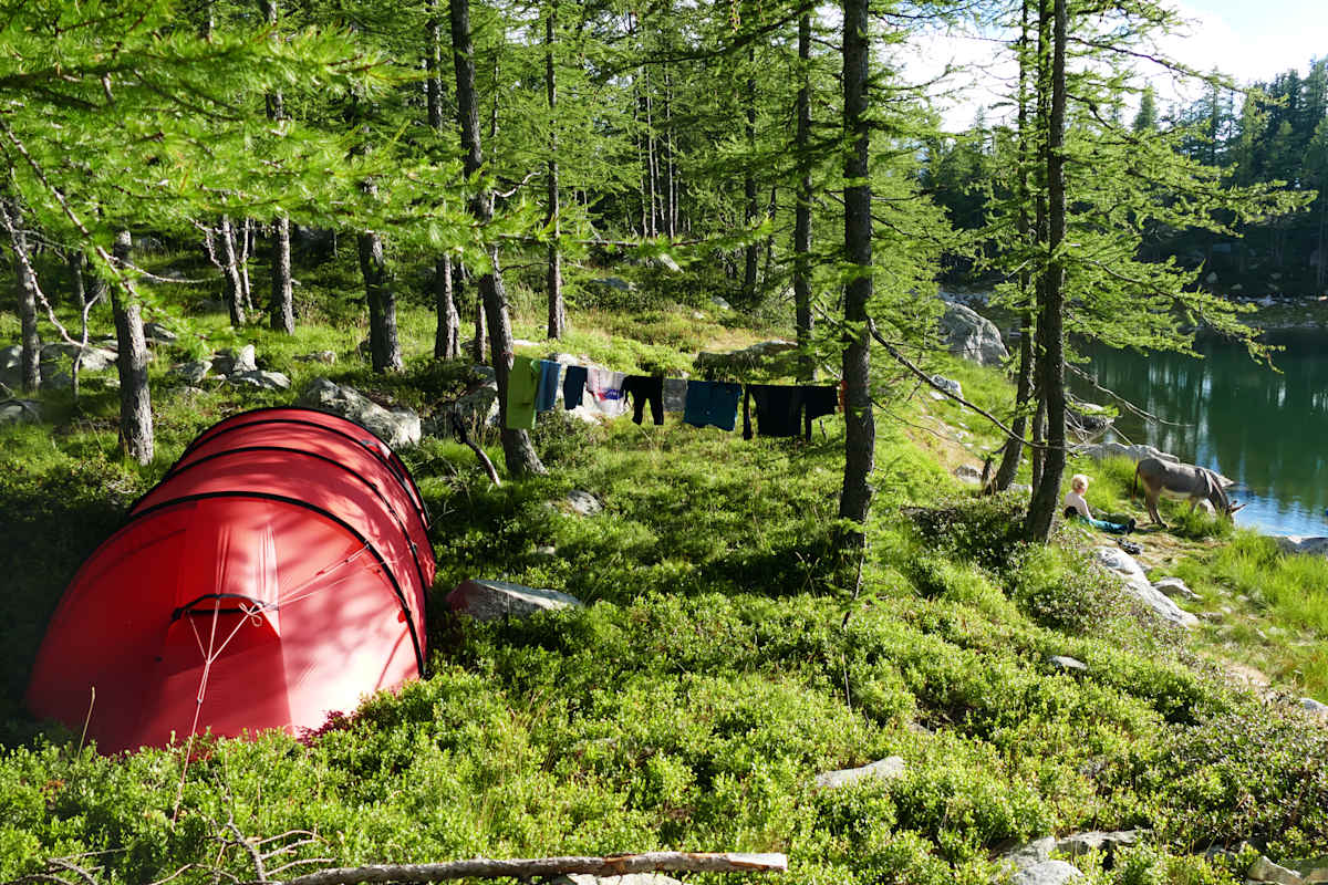 Mit dem Esel durch die französischen Alpen