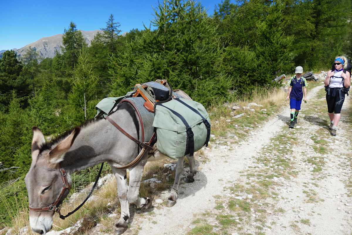 Mit dem Esel durch die französischen Alpen
