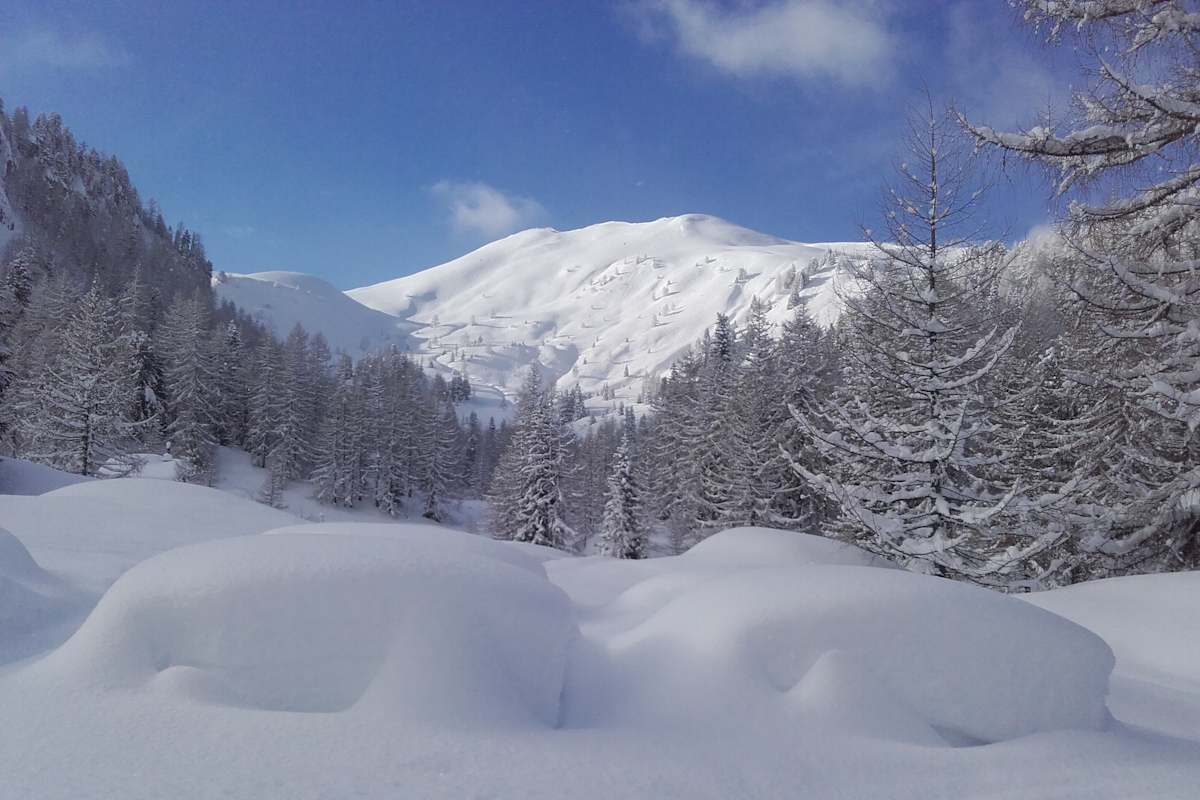 Vor allem in schneereichen und kalten Wintern braucht das Wild viel Ruhe. Daher bitte unbedingt an die vorgegebenen Routen halten!