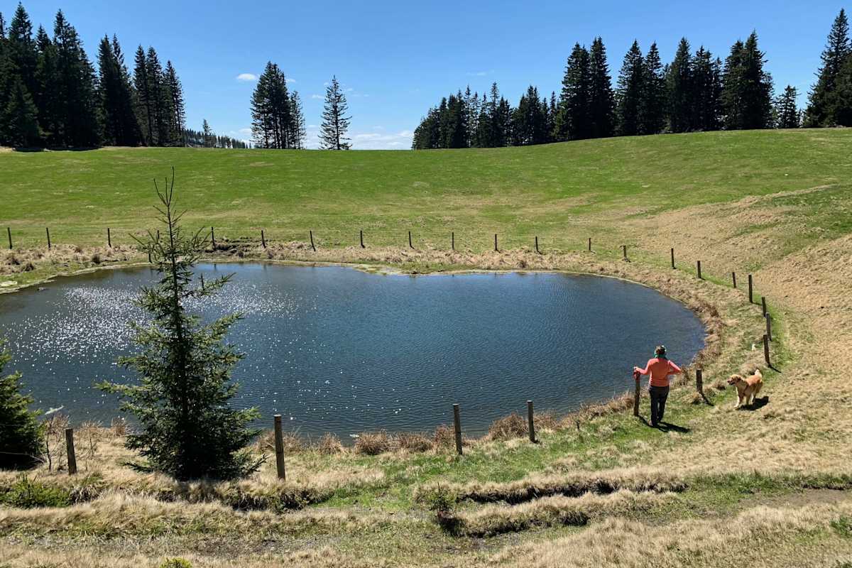 Pico del Teide - das Dach Spaniens