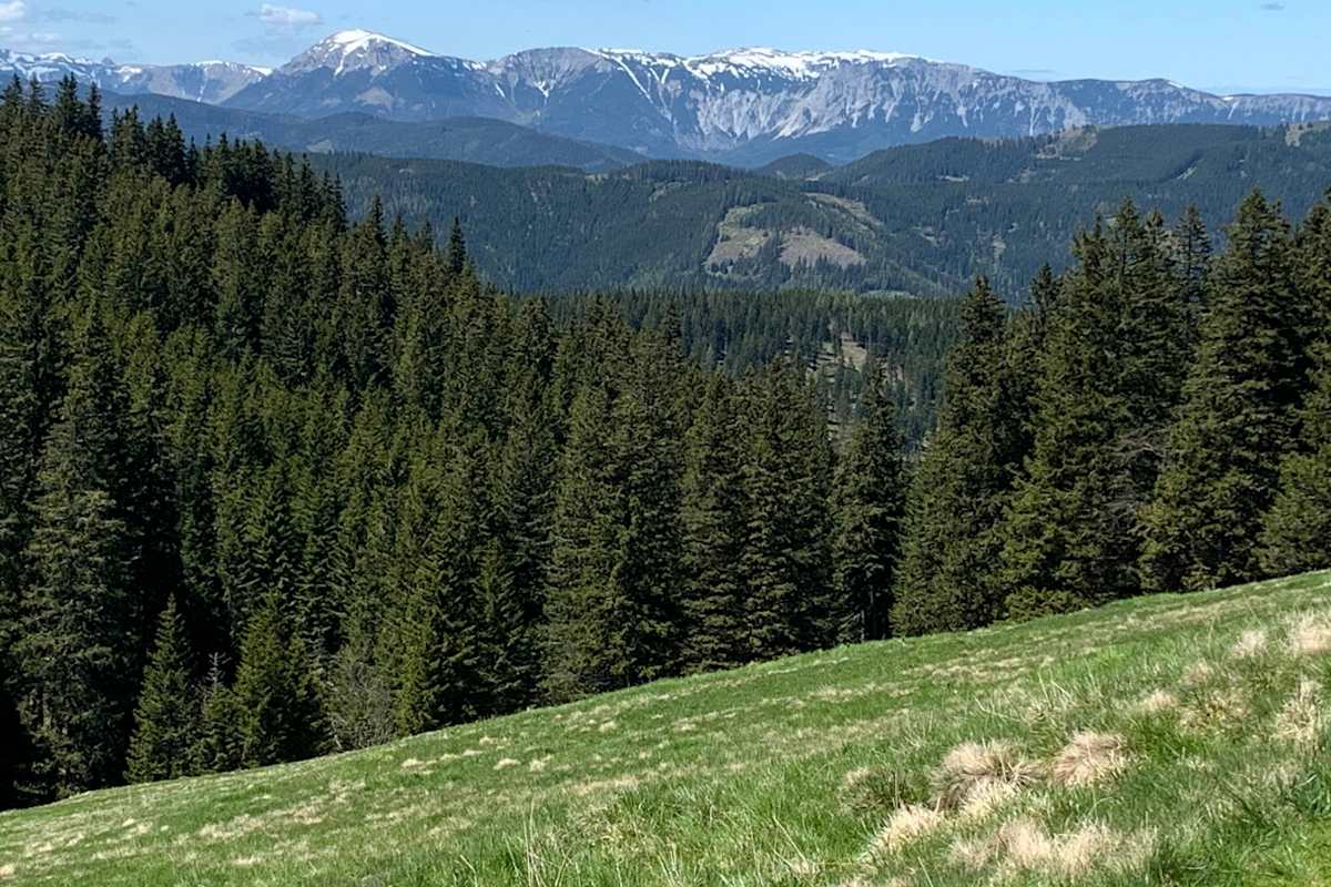 Über die Hochebene im Teide-Nationalpark