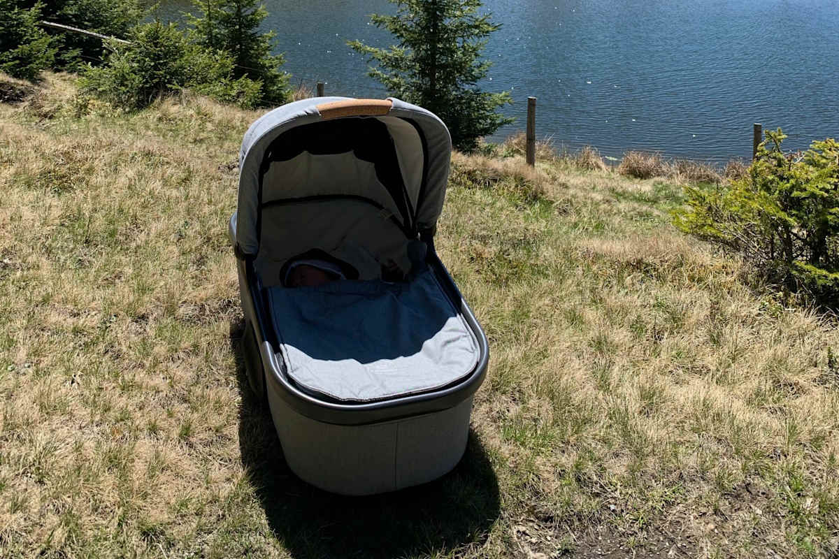 Lorbeerwald auf La Gomera