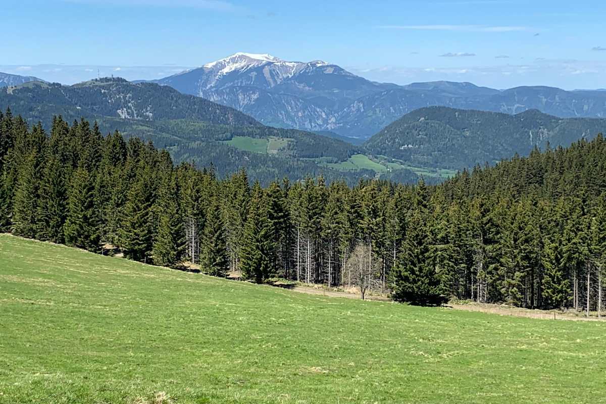 Bergstraße im Wechselspiel von Licht und Schatten