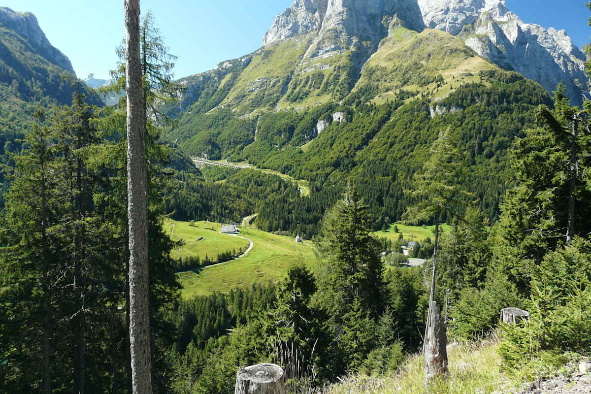 Plöckenpass-Straße