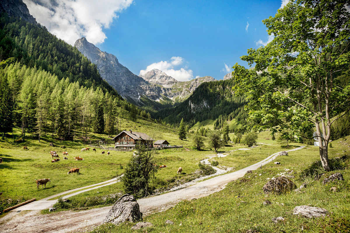 Hermann Maier Interview Bergwelten