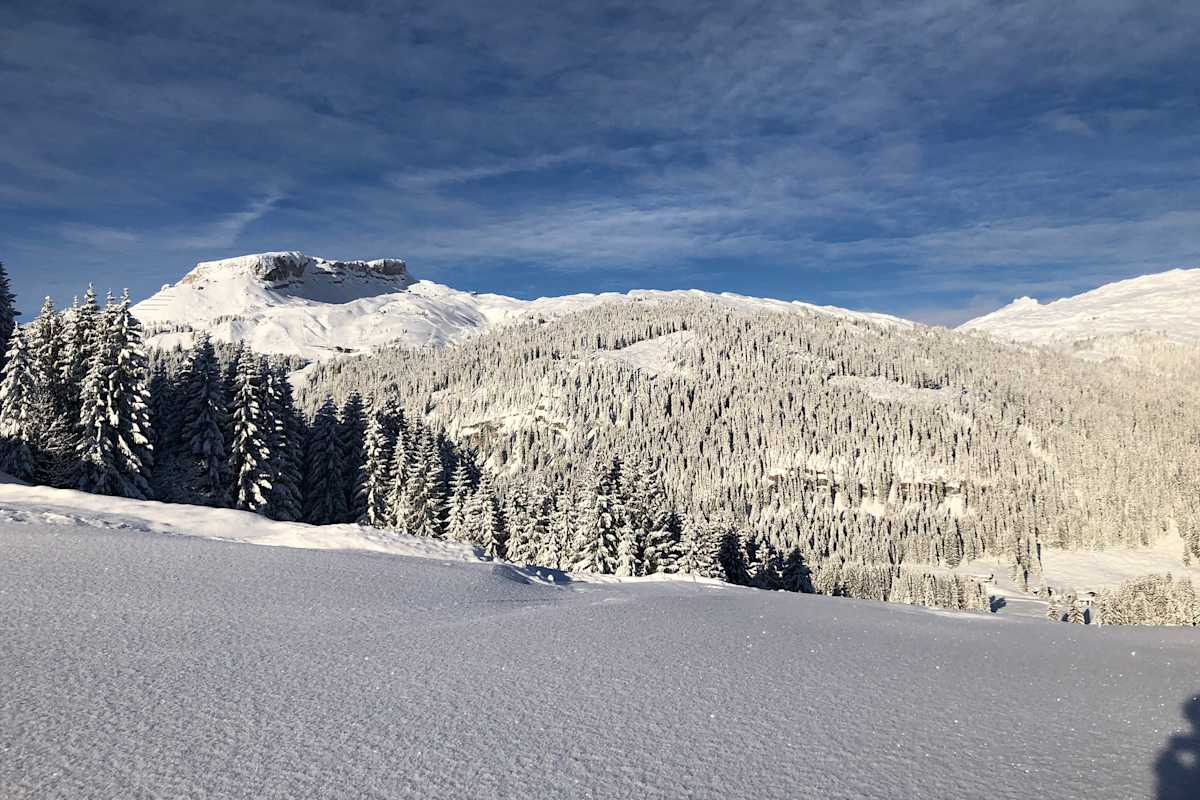 Heubergarena im Kleinwalsertal