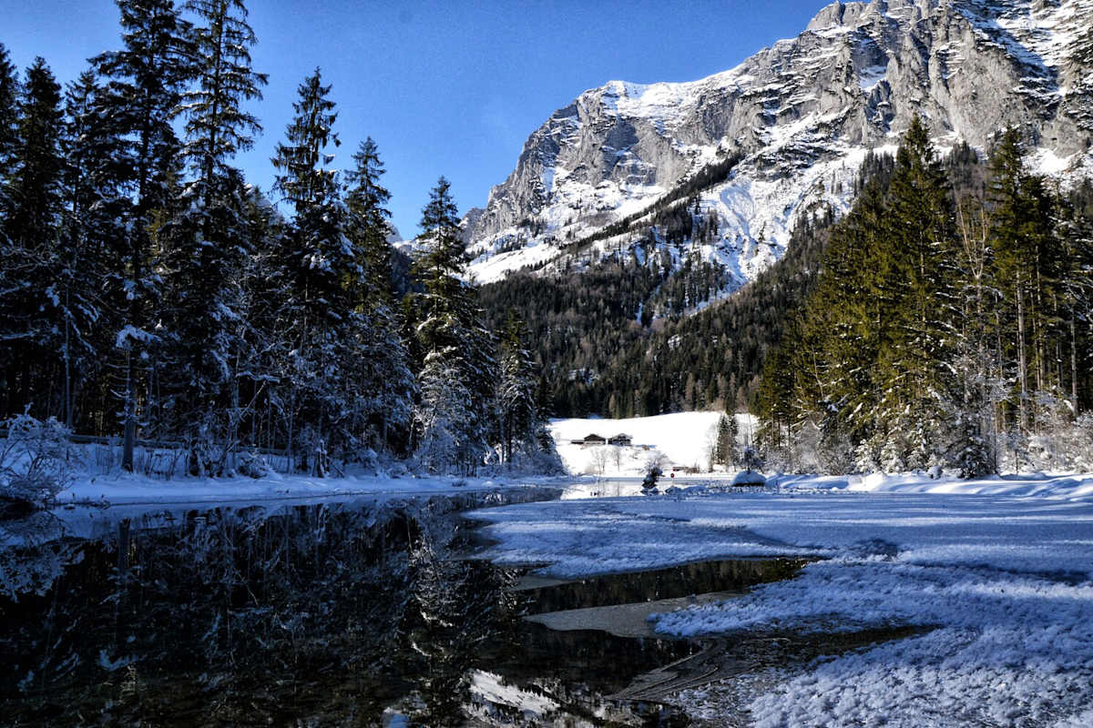 Der Zauberwald beim Hintersee im Winter