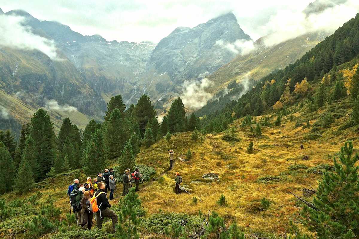 Hirschbrunftwochen in Praxmar