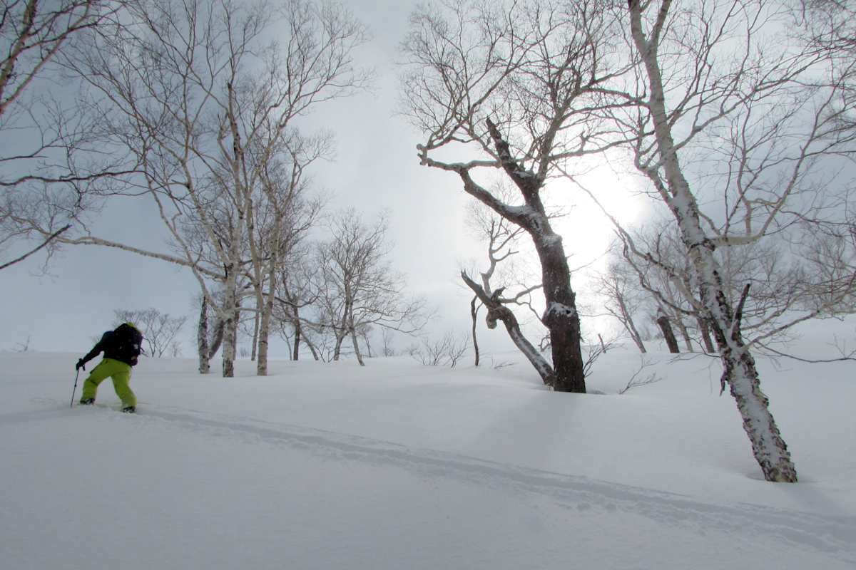 Pulver ohne Ende auf Hokkaido