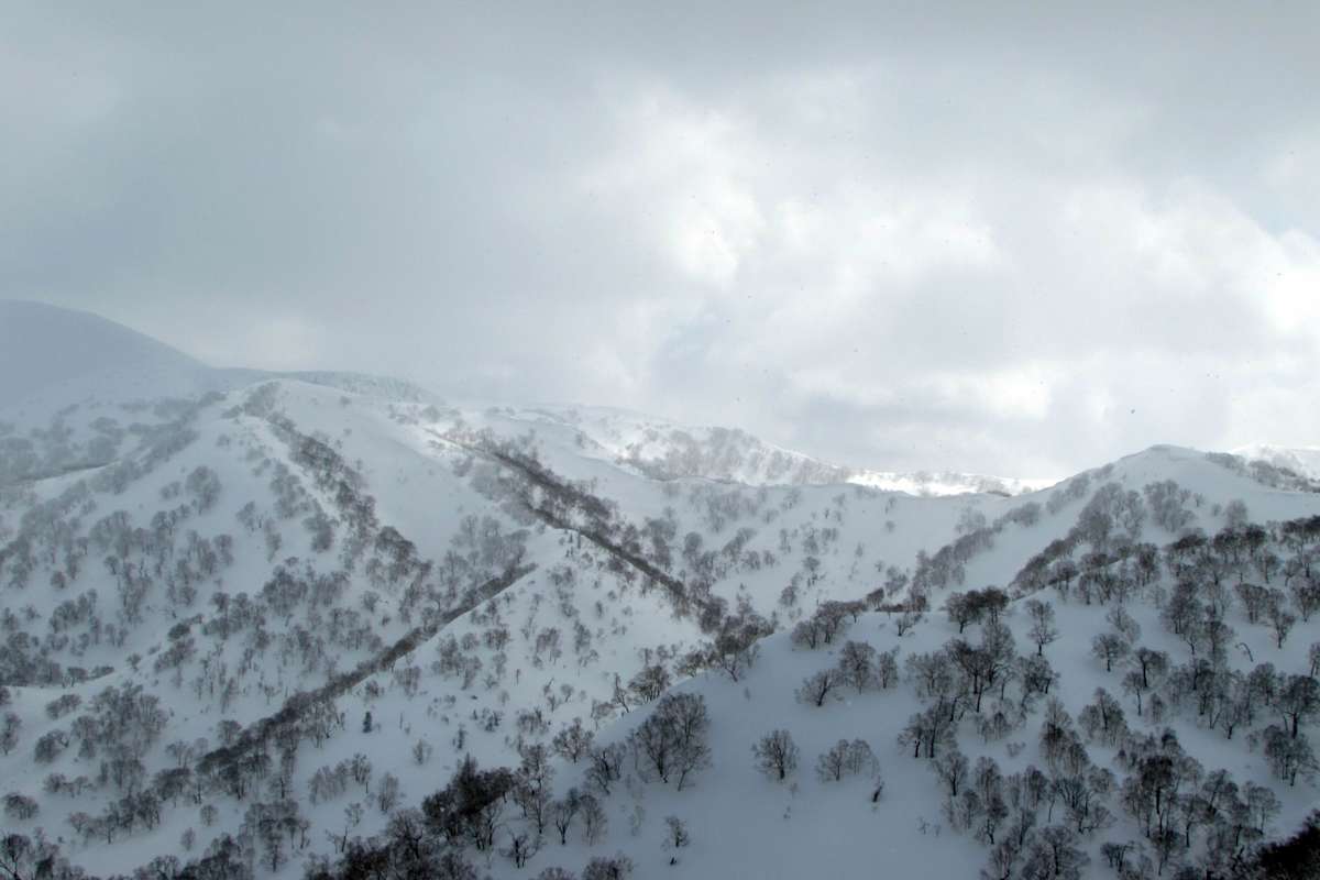 Waldabfahrten von der Sorte „traumhaft“