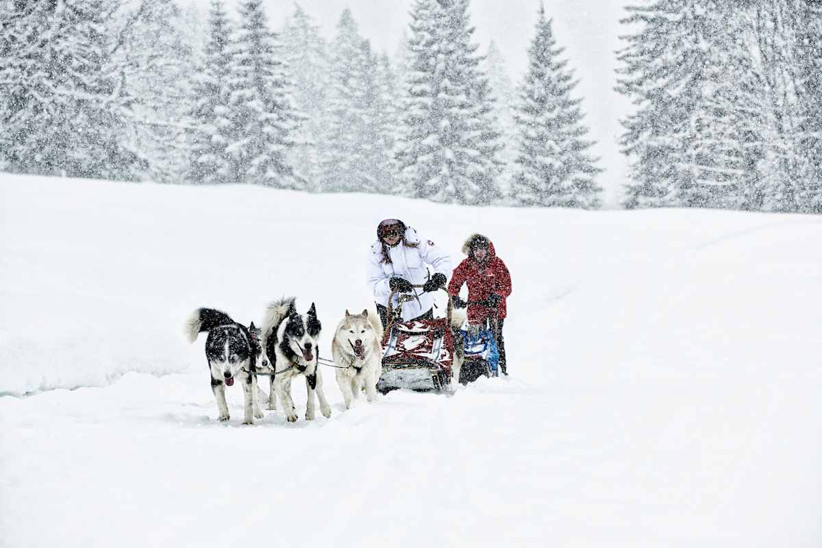 Ausfahrt mit Hunden und Schlitten.