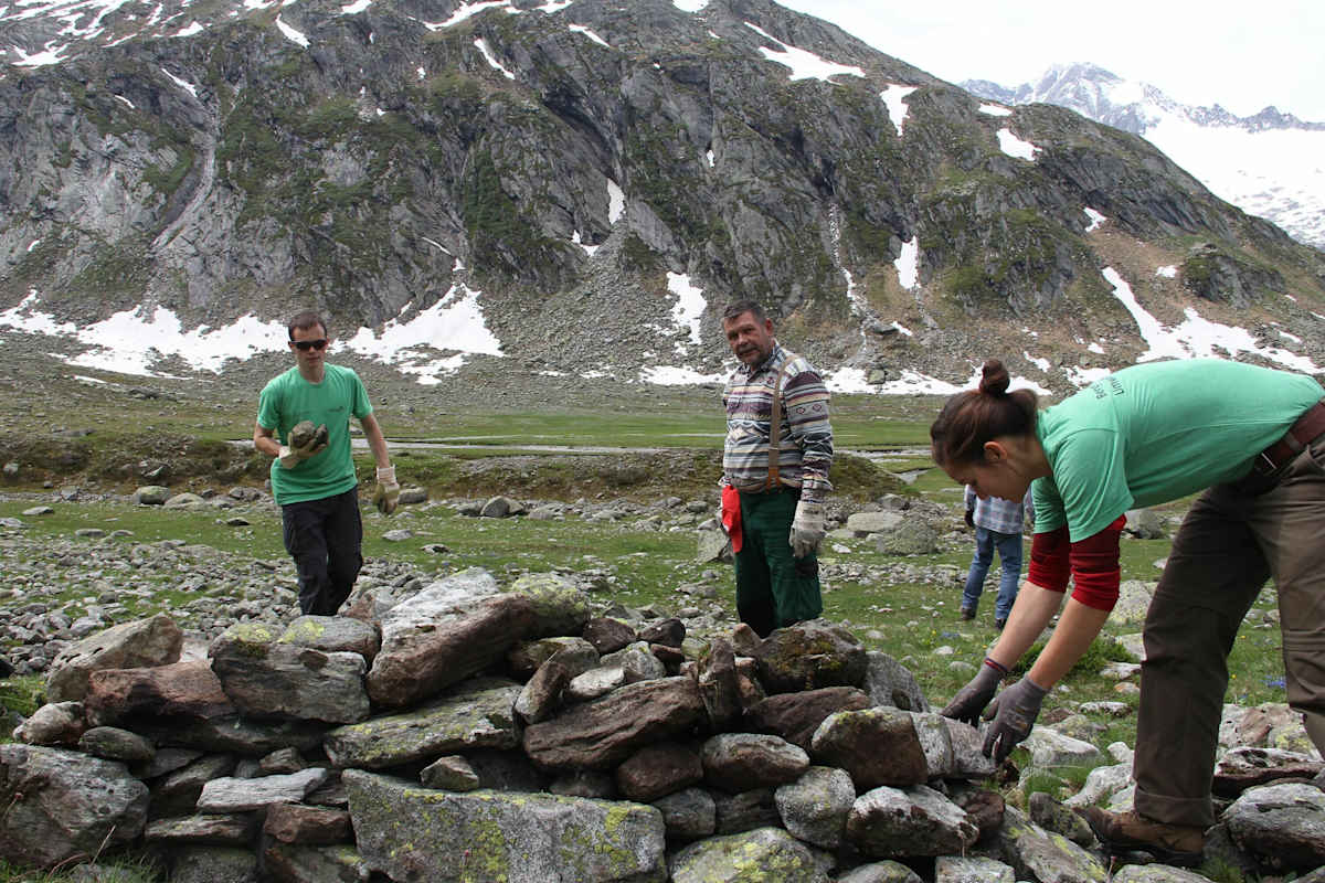 Die Freiwilligen helfen