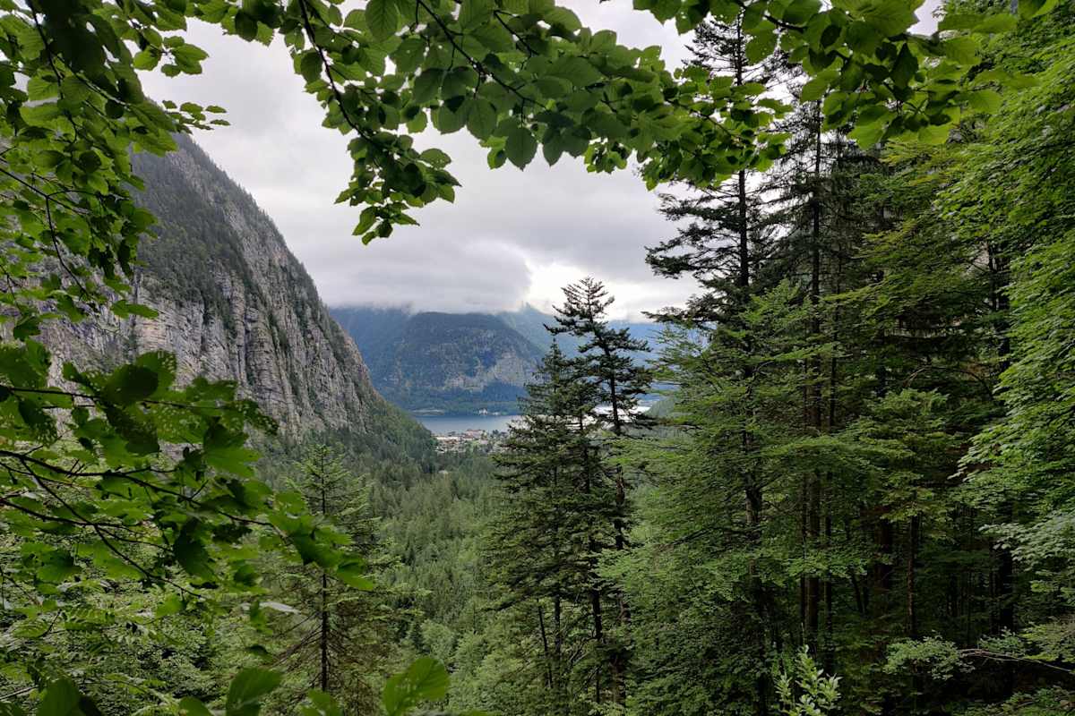 Themenweg Echerntal zum Waldbachstrub