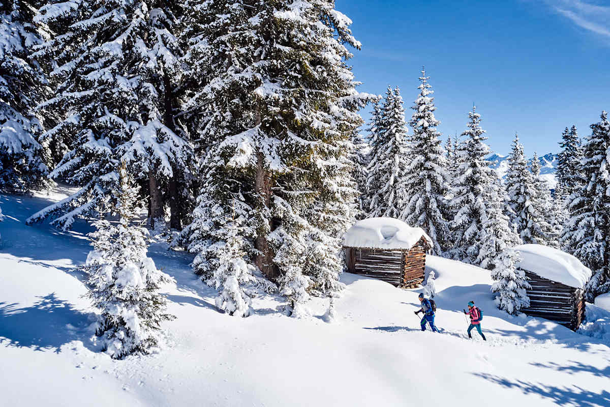 Ruhesuchende genießen die märchenhafte Winterlandschaft beim Schneeschuhwandern.