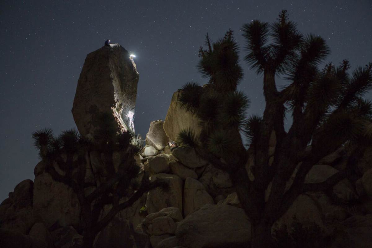Der Sternenhimmel über der Wüste im Joshua Tree Nationalpark