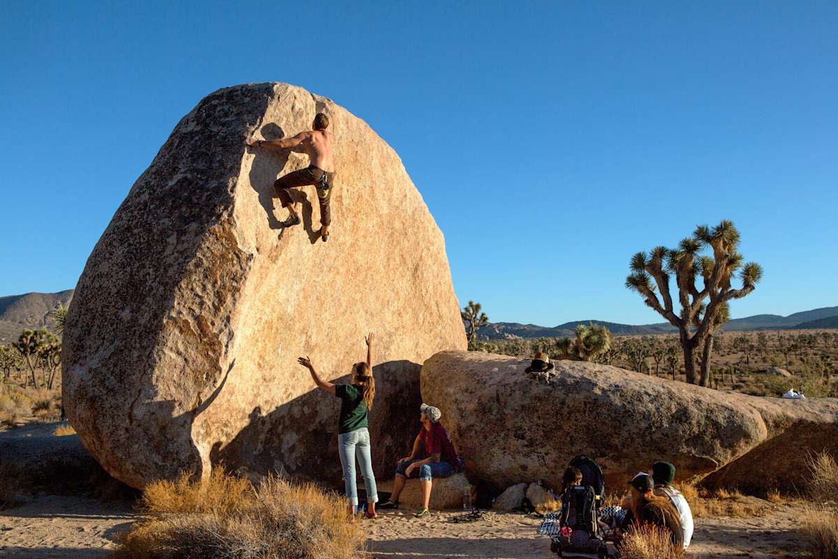 Classic Curl Joshua Tree