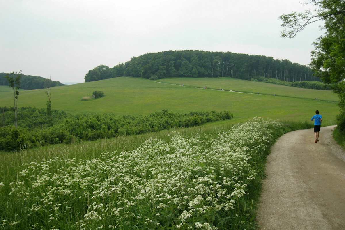 Sonnenaufgangstour: Rund um Wien