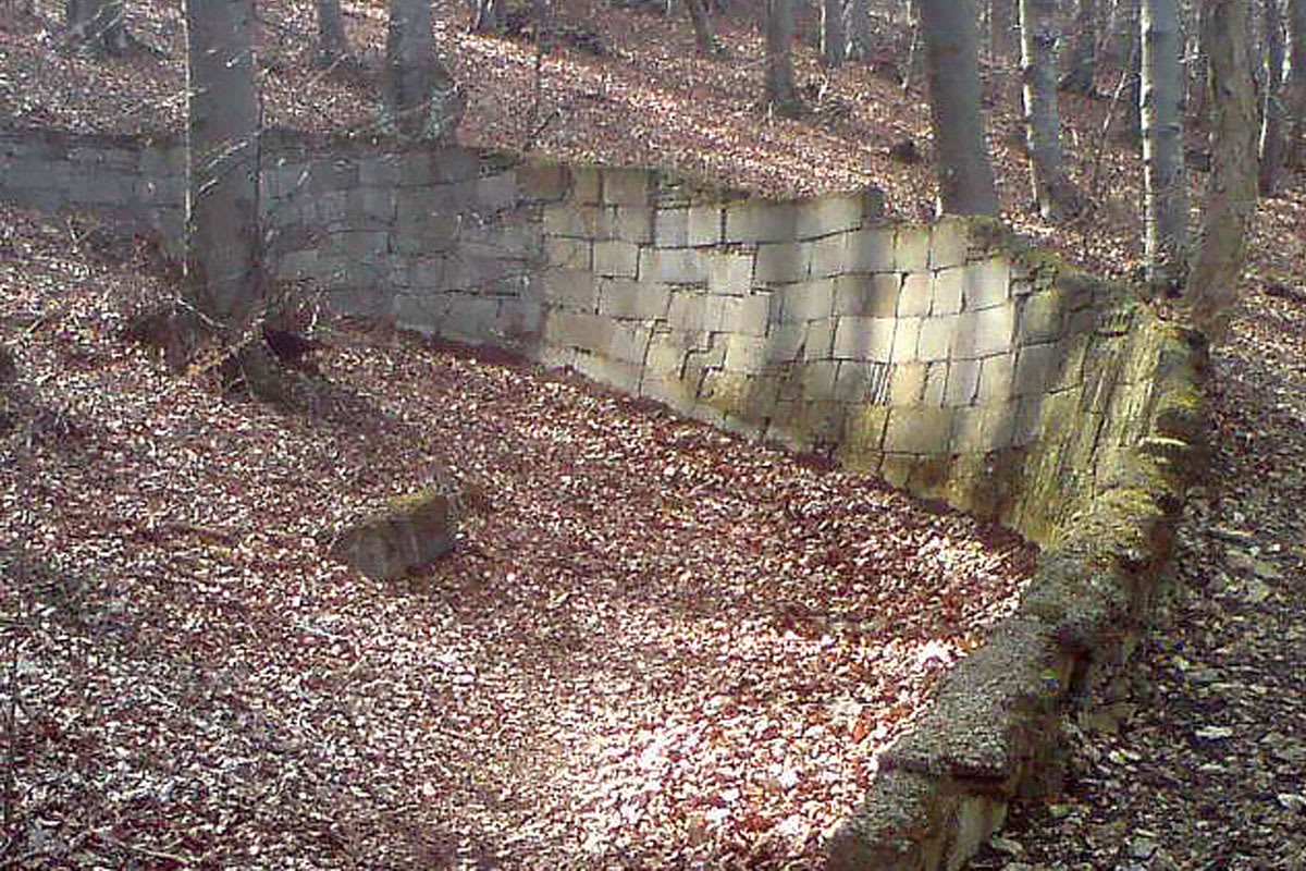 Mauerreste der historischen Anninger-Rodelbahn