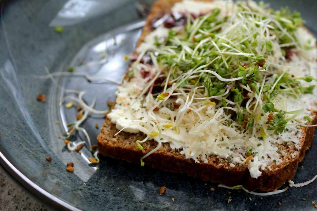 Microgreens am Brot