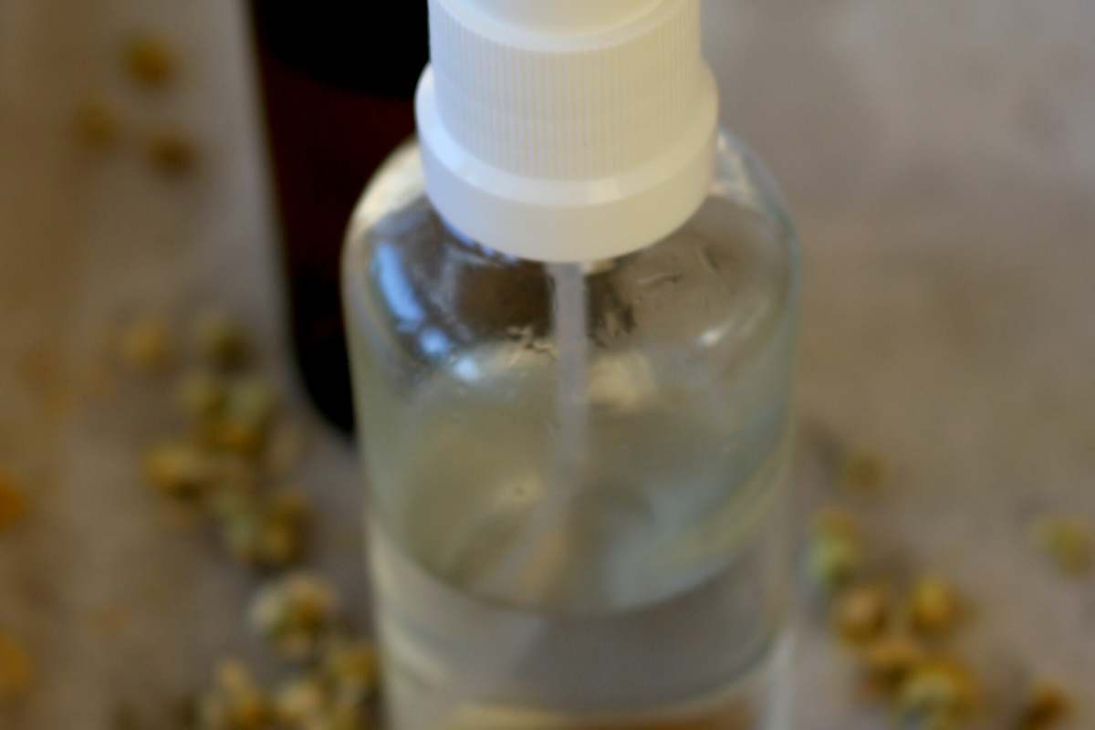 Selbstgemachter Insektenspray