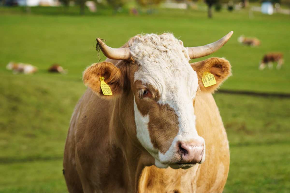 Nationalpark Berchtesgaden