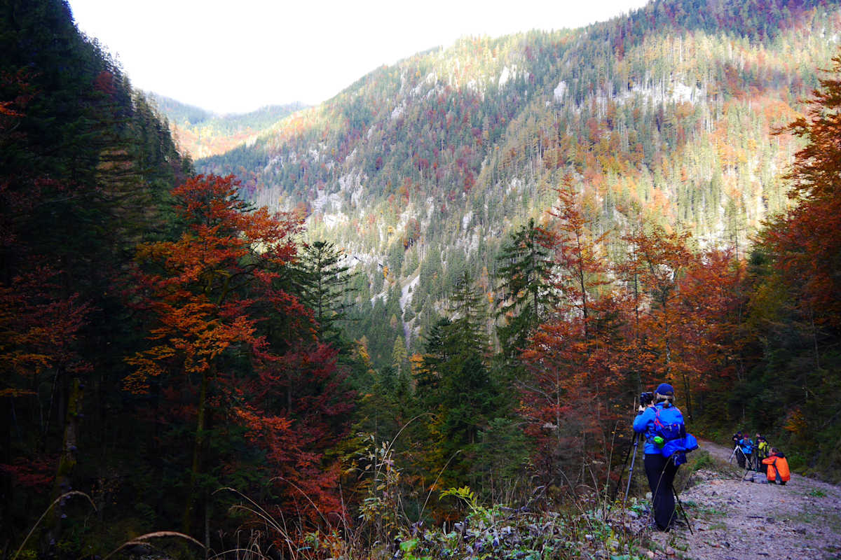 Hartelsgraben Gesäuse