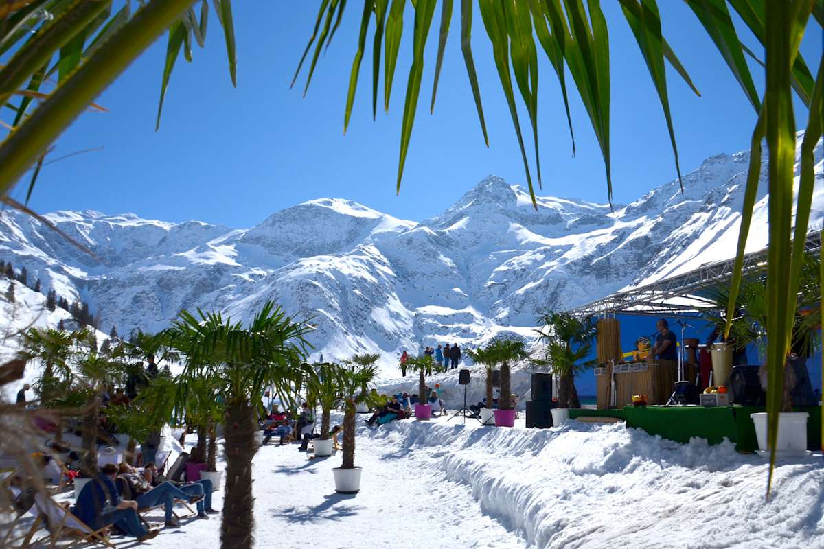 Palmen auf den Almen