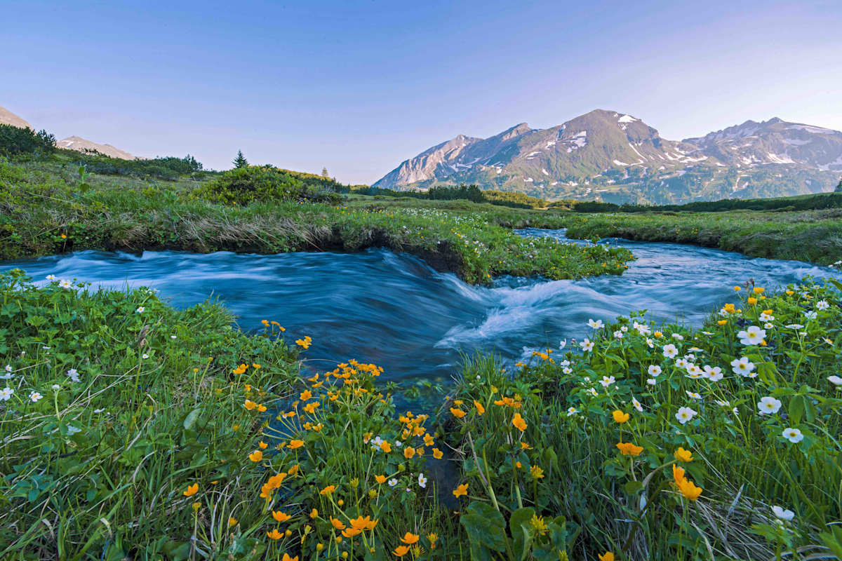Intakt Ökosysteme wie das Hundsfeldmoor in Salzburgs binden Treibhausgase und wirken daher klimaregulierend.